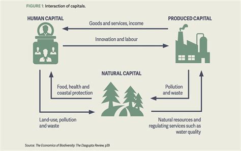 A tale of three capitals: preserving natural capital | The Actuary