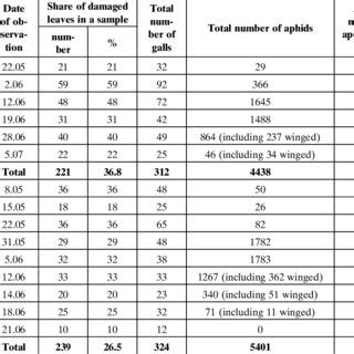 (PDF) Tetraneura ulmi (L.) (Hemiptera, Eriosomatinae) on elm as its ...