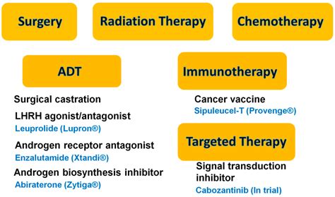 Prepare for Medical Exams : Prostate Cancer: Management