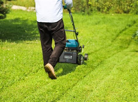 Lawn Care Tips for a Green and Healthy Yard - Millers Lawn Care