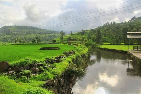 Kalsubai Trek: On top of Maharashtra (What adventures to expect)