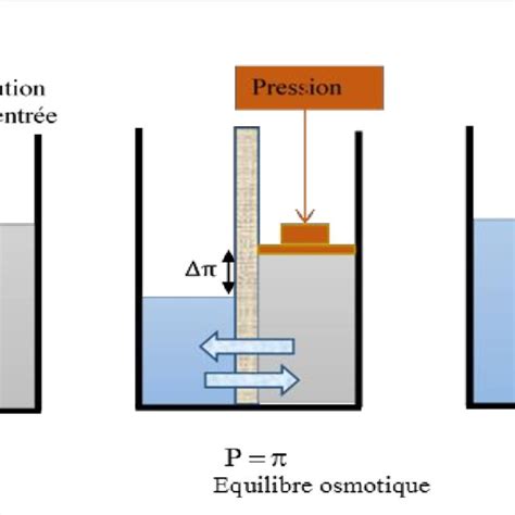 15: Principe de l'osmose inverse | Download Scientific Diagram