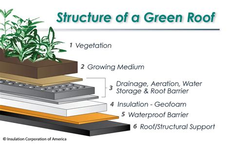 Is a Green Roof Right for You?