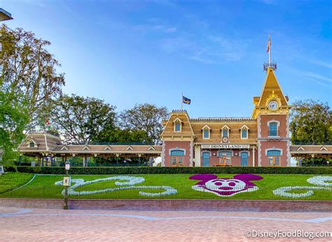 PHOTOS: ALL the Magic Is Back Disneyland Merchandise | LaptrinhX / News