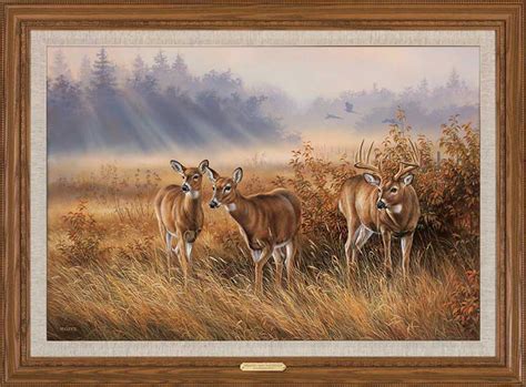 Limited Edition Whitetail Deer Framed Canvas Art Print Wall Art - Wall ...