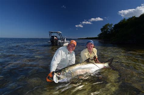 Tarpon Tips from Capt. Bruce Chard - Fly Fisherman