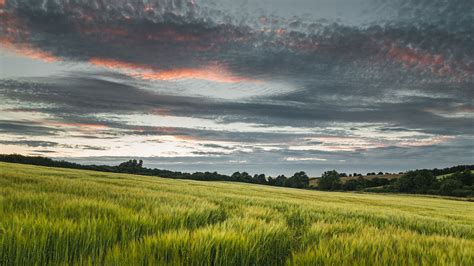 Moments In The Cambridgeshire Countryside on Behance