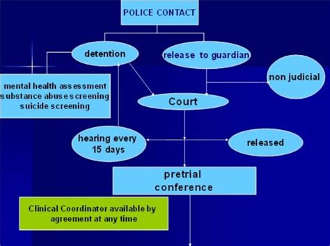 Flow Chart of Juvenile Court Process