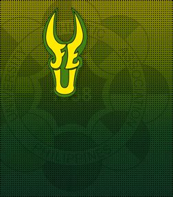 Feu Tamaraw Background