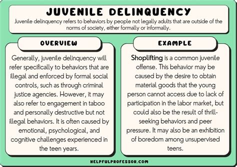 Juvenile Delinquency: Definition and 10 Examples (2024)