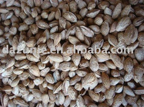 Roasted Almonds in Shell,China price supplier - 21food