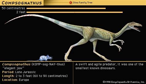 Compsognathus - Kids | Britannica Kids | Homework Help