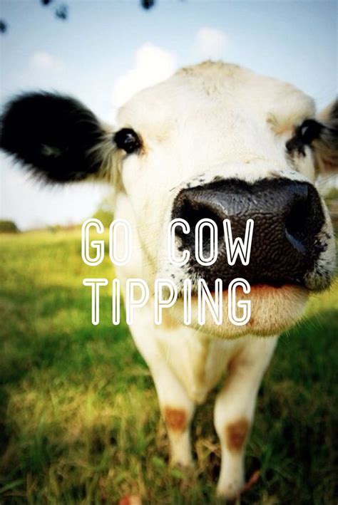 17 Best images about lets go cow tippen on Pinterest | Be d, Signs and Cow tipping