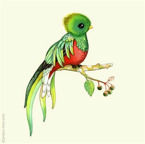 Dibujo de Un Quetzal | •Arte Amino• Amino