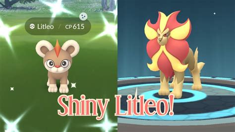 Catching SHINY Litleo in Pokémon Go! Shiny Pyroar Evolution! - YouTube