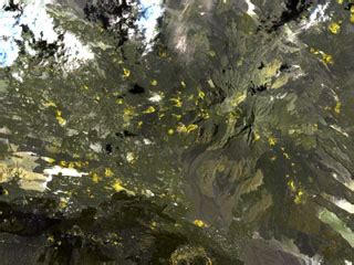 Global Volcanism Program | Djibouti Volcanoes