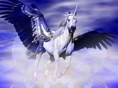 Unicornio Alado Pegasus Unicorn, Unicorn Horse, Unicorn Art, White Unicorn, Pegasus Art, Funny ...