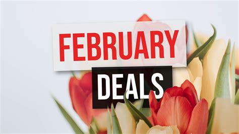 Refreshed: February Deals - Sethisfy