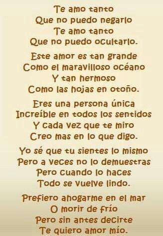 Amor Mio Poema - Tosma