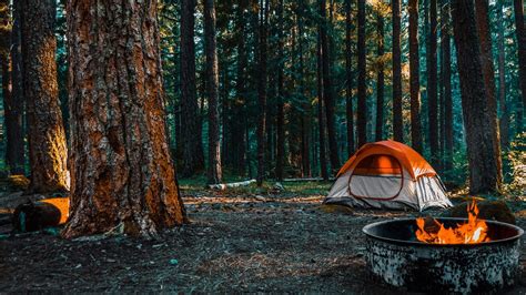 The Best Campgrounds in Shenandoah National Park - The Geeky Camper