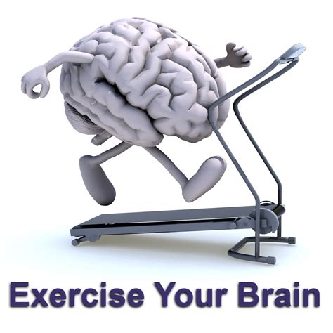 The Brain Boosting Benefits Of ExerciseProfessional Supplement Center | Professional Supplement ...