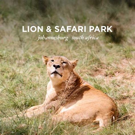 The Lion Park Johannesburg South Africa | One Day Mini Safaris