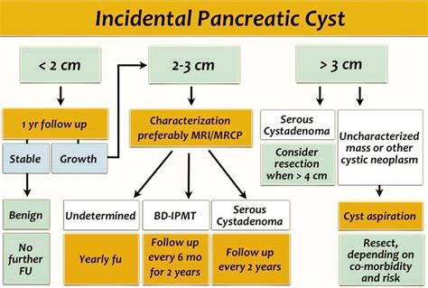 Imaging and Beyond on Instagram: “Incidental Pancreatic Cyst ...