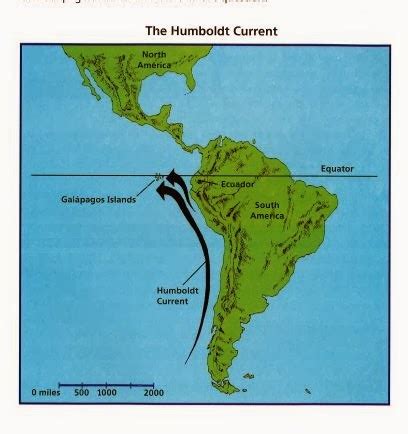 The Humboldt Current | Nano Science