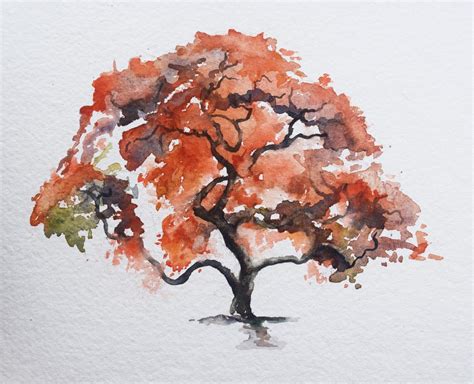 Painting A Japanese Maple In Watercolor | Japanese watercolor, Tree watercolor painting ...