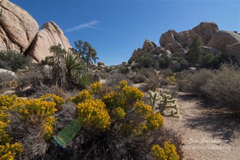 Joshua Tree Hidden Valley Trail – I Love National Parks