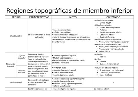 Regiones topográficas de miembro inferior - Regiones topográficas de miembro inferior REGION ...