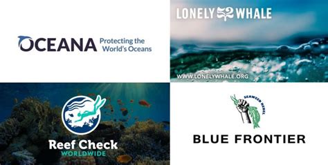 30 Ocean Conservation Organizations fighting to Save Marine Biodiversity