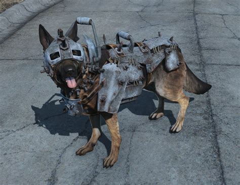 Image - Fo4 heavy dog armor.png | Fallout Wiki | Fandom powered by Wikia