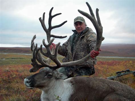 Alaska Caribou Hunt | Arctic North Guides