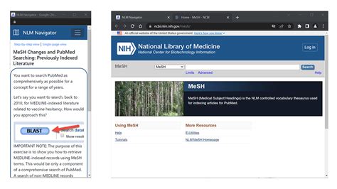 NLM Navigator