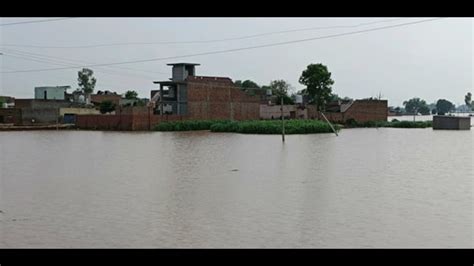 Punjab floods: Three more casualties push death toll to 38 - Hindustan ...