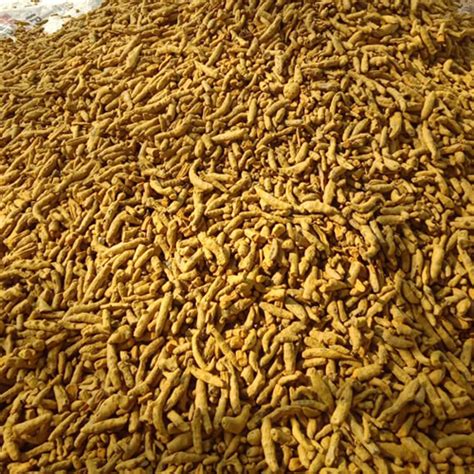 Dry Yellow Turmeric Finger Grade: Cooking Spices at Best Price in Bhopal | Gkd Kasde Brother Group