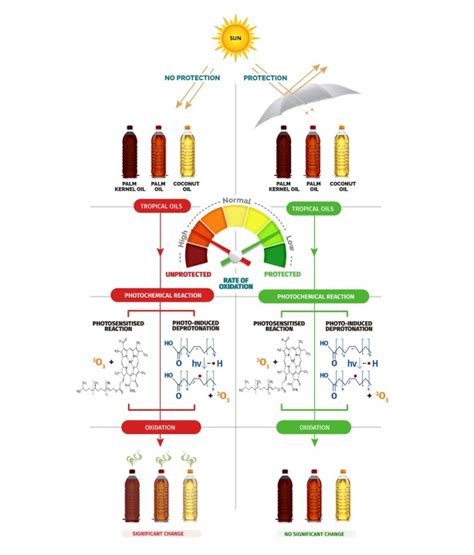 Can sunlight quicken the oxidation of tropical oils, reducing their ...