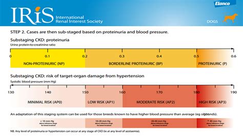 Disease Progression - boxerJKD.com