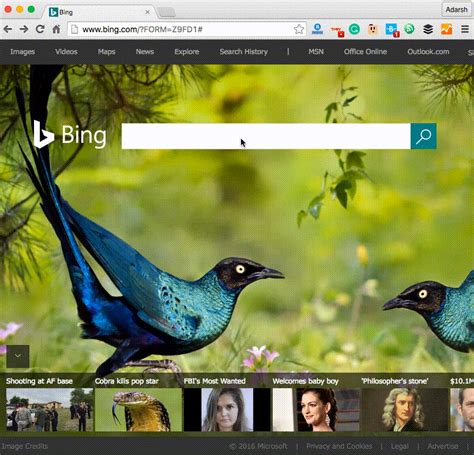 Happy news for Programmers,Bing becomes the developer friendly Search ...