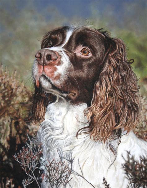 Pastel Pet Portraits UK | Pet Portrait Artist UK | Sarahs Pet Portraits