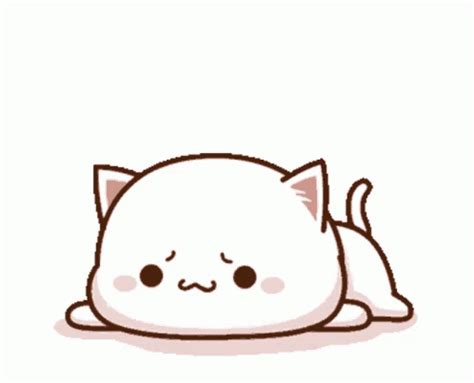 Cute Sad Peach Cat On Floor GIF | GIFDB.com