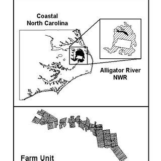 Map of study area within Alligator River, NWR. Farm unit shown above is... | Download Scientific ...