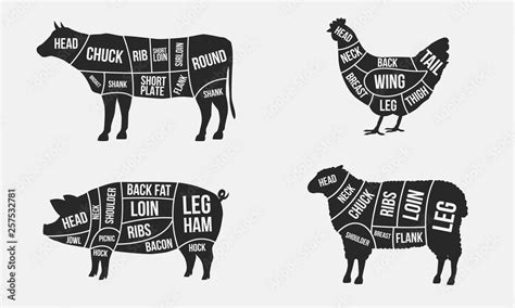 Set of Meat diagrams. Cuts of meat. Cow, Chicken, Pig and Sheep silhouette isolated on white ...