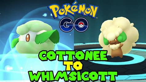 Evolving COTTONEE to WHIMSICOTT in Pokemon Go Unova Week - YouTube