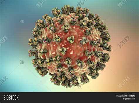 Parainfluenza Virus, Image & Photo (Free Trial) | Bigstock