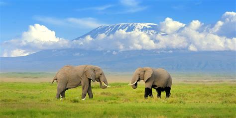 Amboseli National Park | Kenya Wildlife Safari Destinations