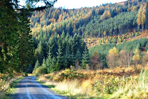 Galloway Forest Park, Dumfries and Galloway | Places in scotland ...