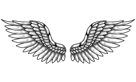 Premium Vector | Vector angel wings tattoo design