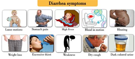 Does Too Much Water Cause Diarrhea - Aaron Easton's Blog